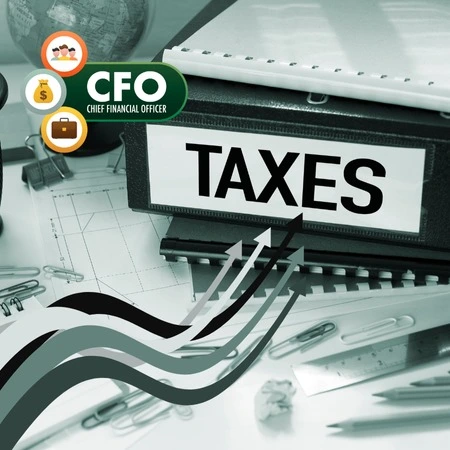 Virtual CFO services and finance consulting by FinCrest for startups